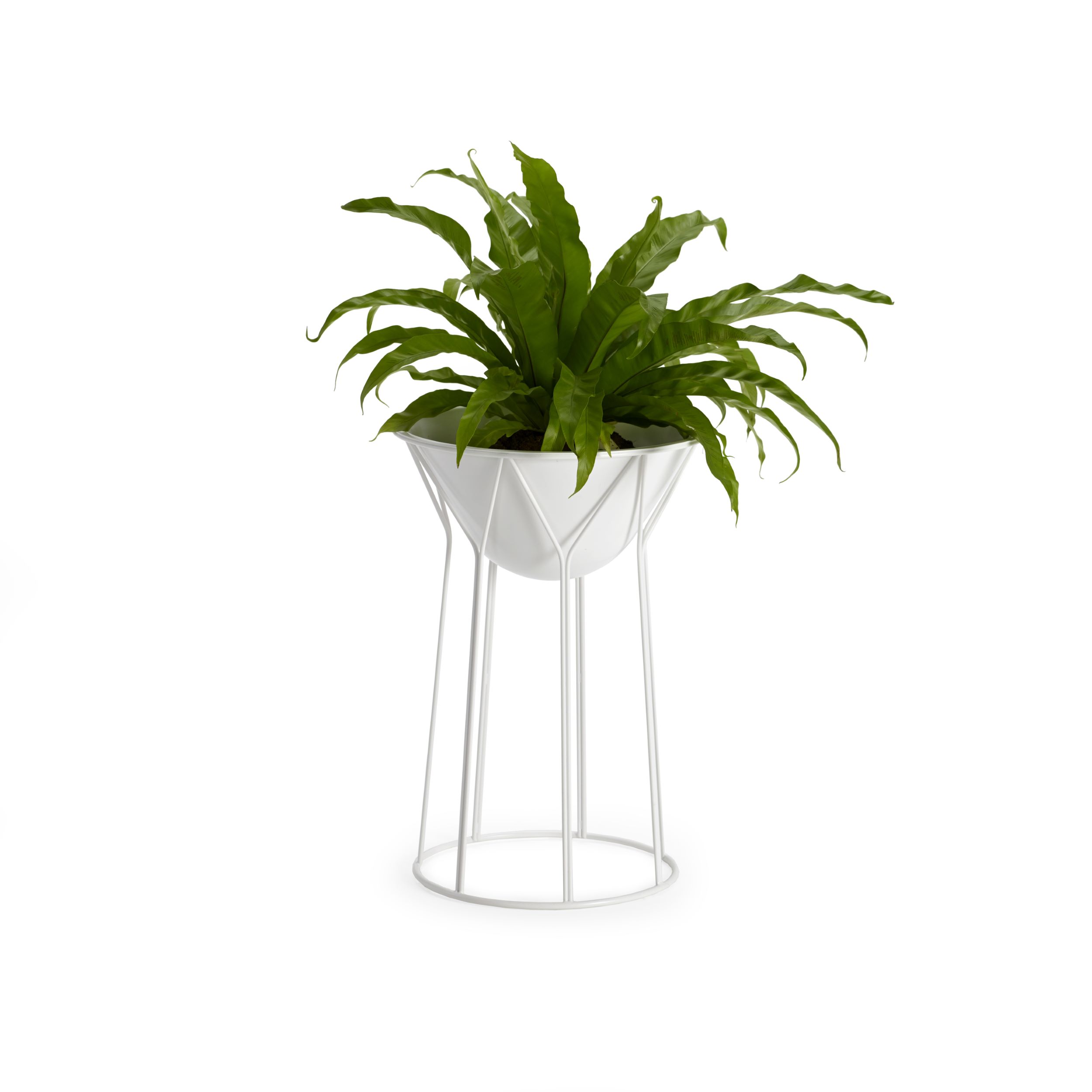 CIRCUS-PLANTER-O2asis-Formfjord-offecct-104102-1010-889